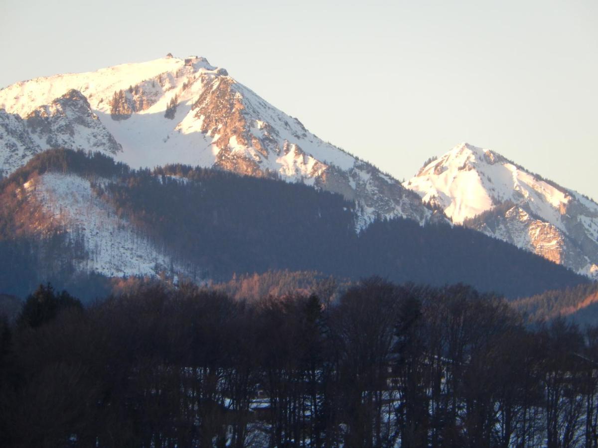 Private Luxury Chalet Siegsdorf Luaran gambar